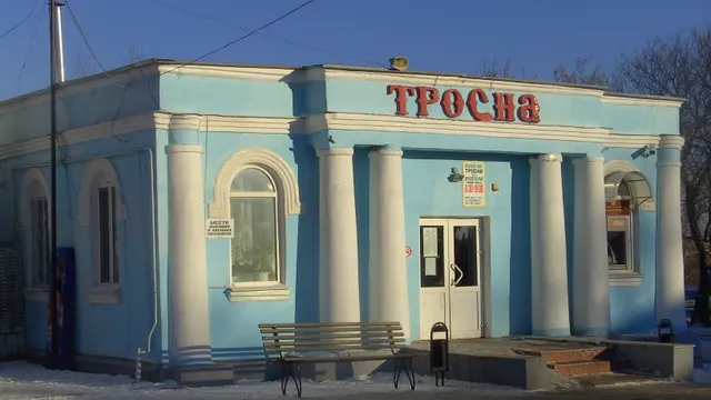 Железногорск — Тросна